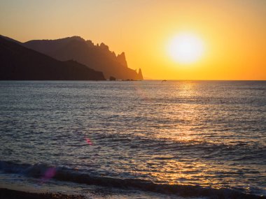 Şafakta denizin üzerinde uçan martı