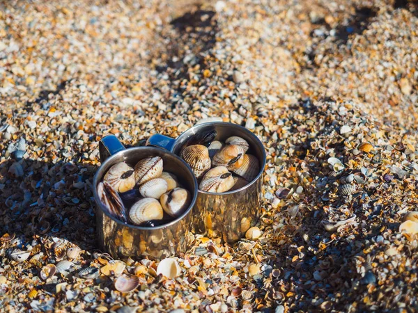 We caught shells on the seashore. Then they collected mollusks in mugs, cooked and ate. Shellfish look like hearts. These shells are considered a delicacy.