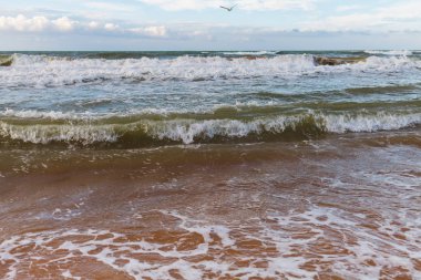 Kum büyük dalgalar deniz. Fırtına geliyor. Okyanus titriyor