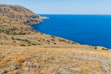 Deniz gün güneşin altında defne