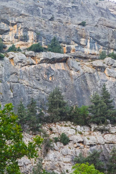 Μονοπάτι Είναι Υψηλή Στο Βράχο Σπάνια Βλάστηση Θάμνων Και Κέδρους — Φωτογραφία Αρχείου