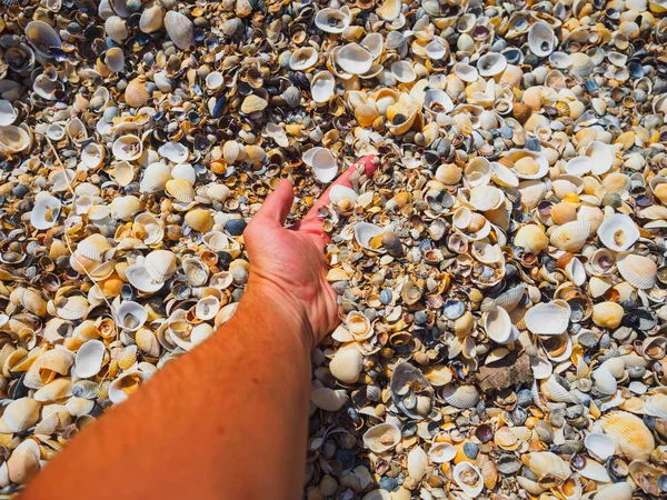 Hand Takes Shells — Stock Photo, Image