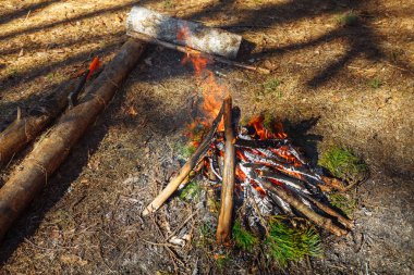 Bahar ormandaki şenlik ateşi. Balta