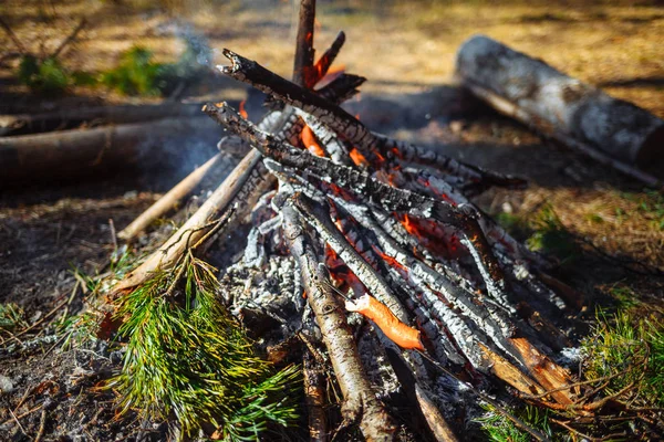 Feu Joie Dans Forêt Sucer Rôti — Photo