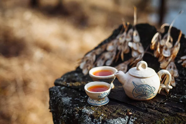 パターン青と赤茶断端の森の中で つの飲酒ボウル白い粘土ティーポット 秋の日 — ストック写真