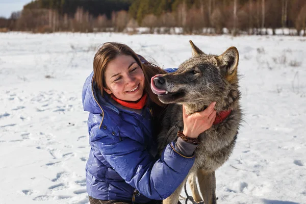 Portrait Girl Trainer Gray Wolf Snowy Field — Stock Photo, Image