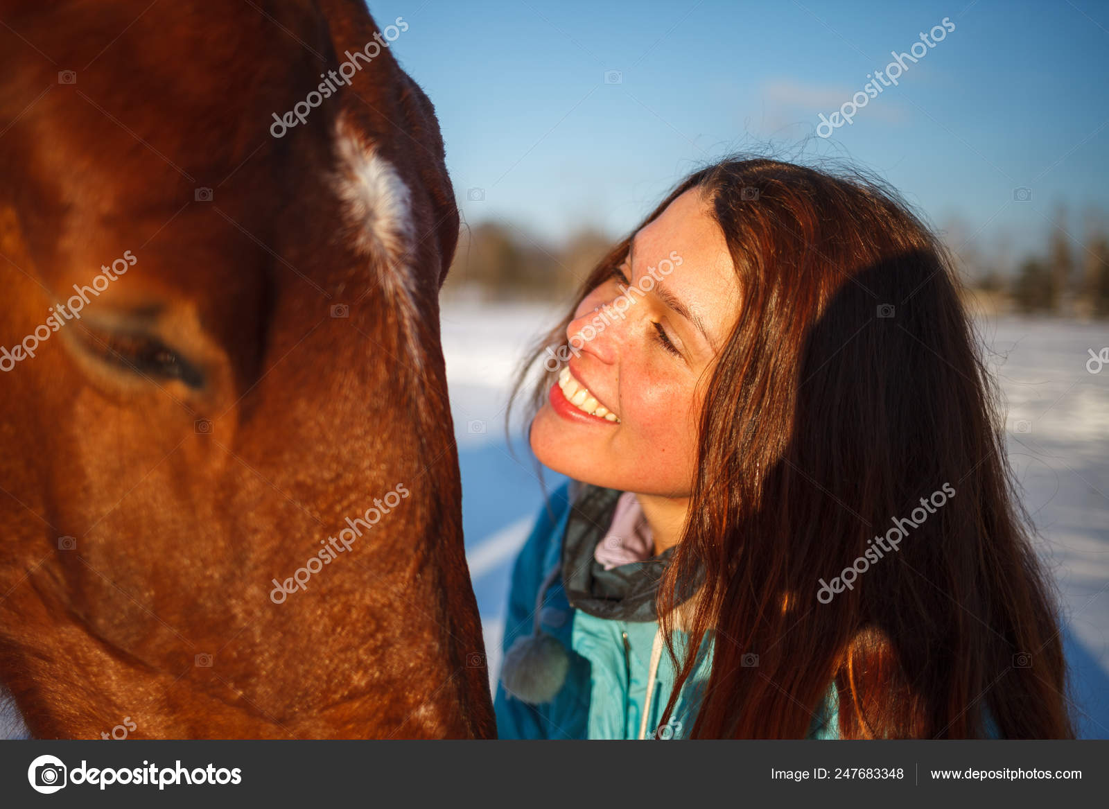 La tête d'un cheval et les mains d'une fille se rapprochent. Elle nourrit  le cheval rouge image libre de droit par WoodHunt © #247683348