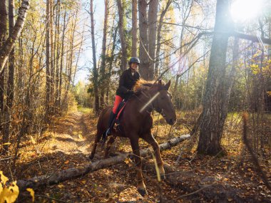 Sonbahar ormandaki bir engel üzerinden sürücü kırmızı at üzerinde atlar.