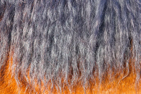 Crin de caballo negro en el primer plano del sol. Se puede utilizar como textura para la decoración . —  Fotos de Stock