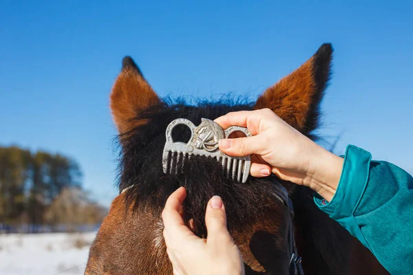 Caring for a horse. Combing the special mane comb on the horse\'s head