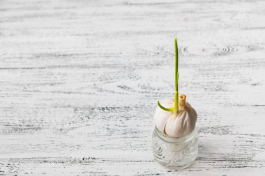 Beyaz ahşap antika arka plan üzerinde su ile bir kutu içinde sarımsak Filiz