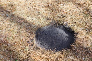 Bahar ormanın içinde güvenli bir kamp ateşi için bir yer uygun kayıt.