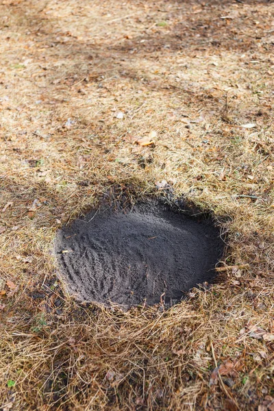 Proper registration of a place for a safe campfire in the spring forest.