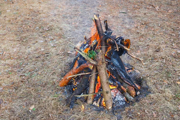 Bonfire in the spring forest on the background of withered grass.
