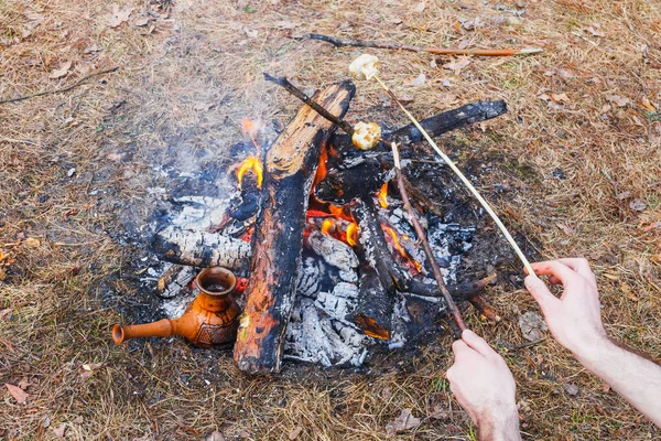 At the stake in the spring forest, a clay Turkish coffee pot is heated against the grass. In the frame