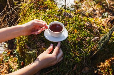 Kadın el beyaz bir fincan çay bir fincan tabağı ile güneşli ormanında tutarak