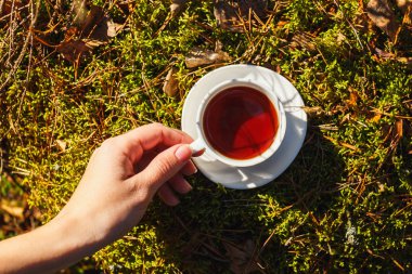 Kadın el beyaz bir fincan çay bir fincan tabağı ile güneşli ormanında tutarak