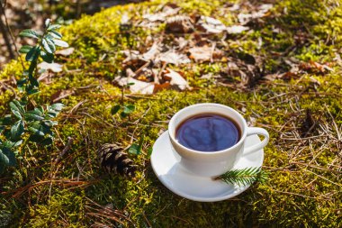 Beyaz fincan çay bir fincan tabağı güneşli ormandaki ile