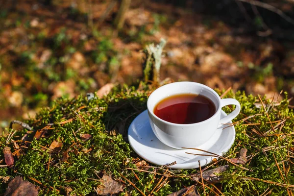 日当たりの良い森林の受け皿に茶と白のカップ — ストック写真