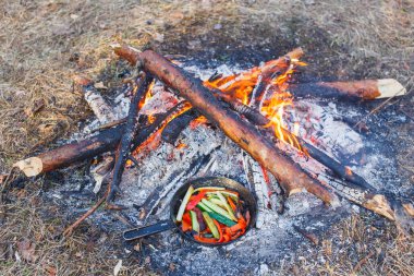 Kırmızı biber ve salatalık bir tavada bir yangın bir fincan