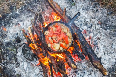 Bir yangın bahar ormandaki bir tavada domates ile beyaz mantar yemek