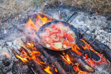 Bir yangın bahar ormandaki bir tavada domates ile beyaz mantar yemek