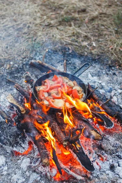 Cooking white mushrooms with tomatoes in a pan on a fire in the spring forest — Stock Photo, Image