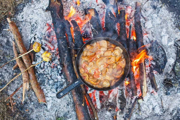 Cooking white mushrooms with tomatoes in a pan on a fire in the spring forest — Stock Photo, Image