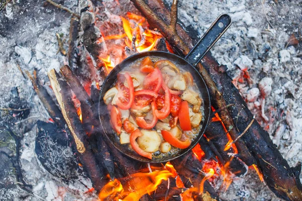 Cooking white mushrooms with tomatoes in a pan on a fire in the spring forest — Stock Photo, Image