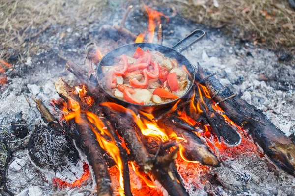 Cooking white mushrooms with tomatoes in a pan on a fire in the spring forest