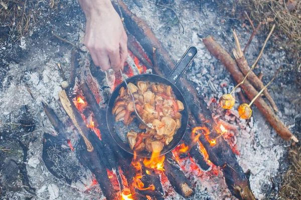 Cook porcini mantar bir yangın bahar ormandaki bir tavada domates ile hazırlar