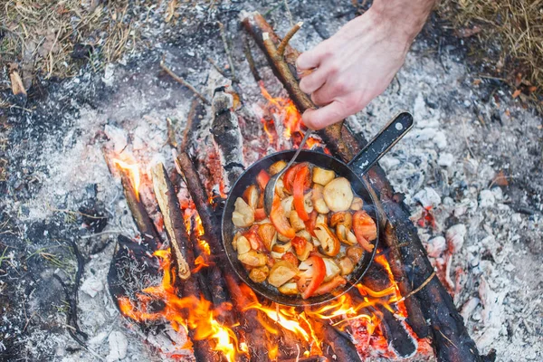Cook porcini mantar bir yangın bahar ormandaki bir tavada domates ile hazırlar