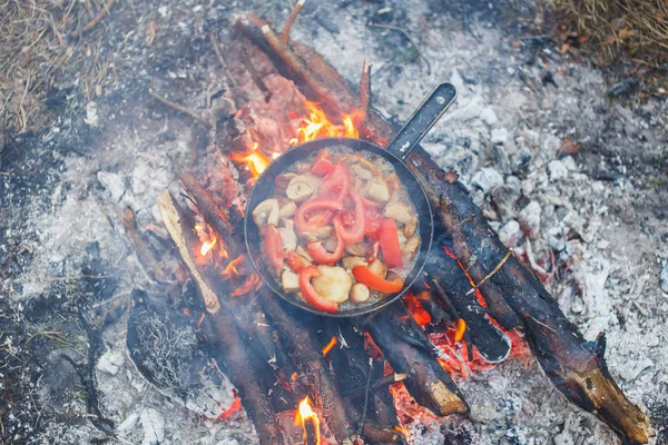 Bir yangın bahar ormandaki bir tavada domates ile beyaz mantar yemek