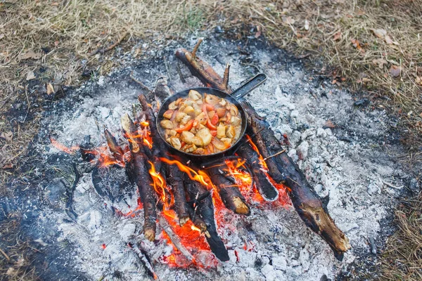 Cooking white mushrooms with tomatoes in a pan on a fire in the spring forest — Stock Photo, Image