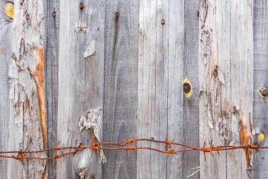 Gri eski tahtalar bir çit altında dikenli tel