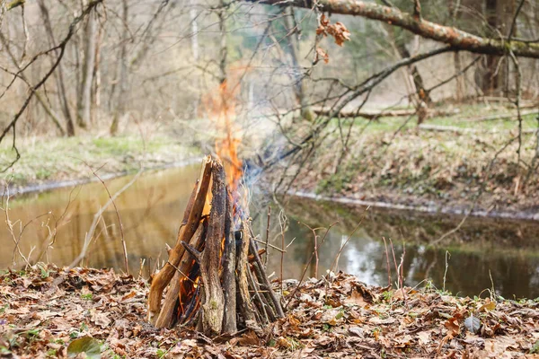 Bonfire on the bank of a forest river under an oak tree