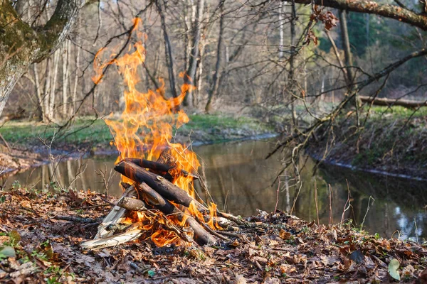 Bonfire on the banks of the creek in the spring forest. View from above