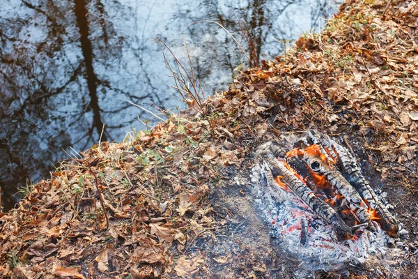 Hoguera junto al agua en el bosque — Foto de Stock