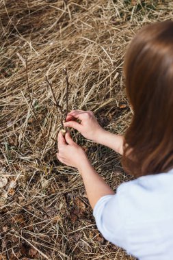 Bir kız ilkbaharın başlarında yabani elma nakli yapar.