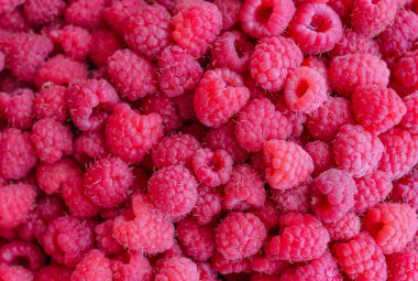 Berry ahududu arka plan