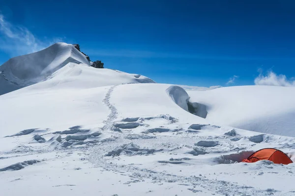 Berelskoe sedlo mountain climbers camp. Red tentin the snow. View to the Belukha Mountain glaciers. Belukha Mountain area. Altai, Russia.