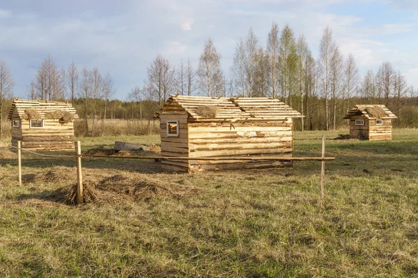 Verwoeste Verlaten Dorp Landschap Voor Oorlog Spel Zonnige Lente — Stockfoto