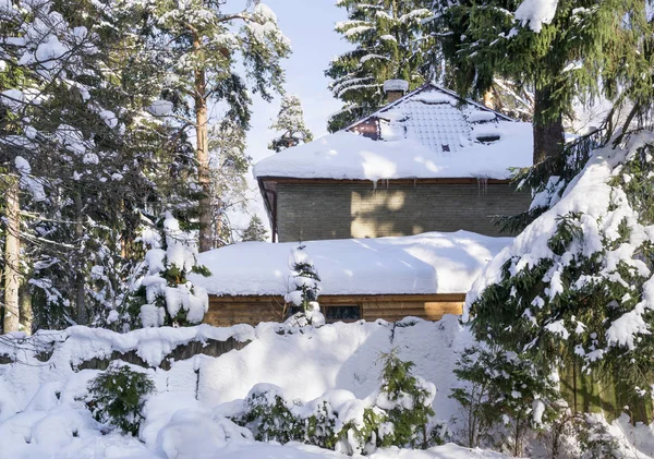 Rural House Covered Snow Forest Winter Sunny Day — Stock Photo, Image