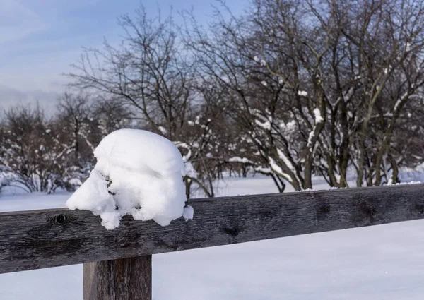 Старый Деревянный Забор Вокруг Сада Покрытого Снегом Зимний Солнечный День — стоковое фото