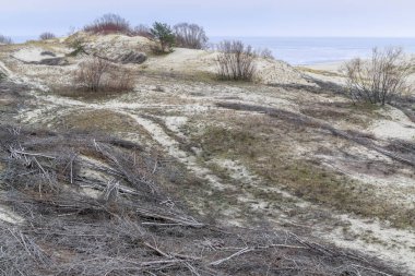 Demet Şube takviye kum tepeleri için dondurulmuş deniz Körfezi'nin kıyısında bulunmaktadır. Kış bulutlu gün
