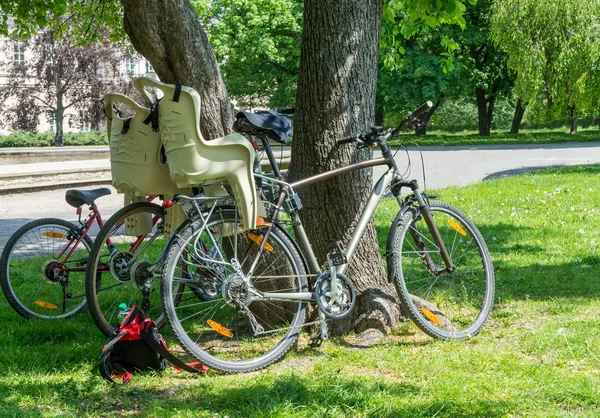 Cyklar i park — Stockfoto