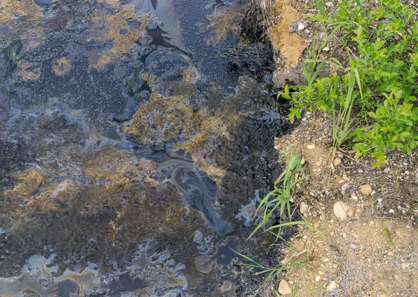 Contaminación del suelo con fuelóleo y betún —  Fotos de Stock