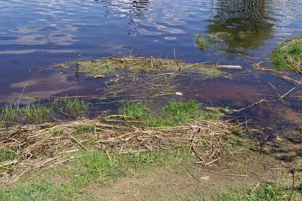 Garbage on river bank — Stock Photo, Image