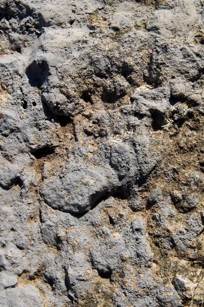 Сірий Звивистий Камінь Бетонної Текстури — стокове фото