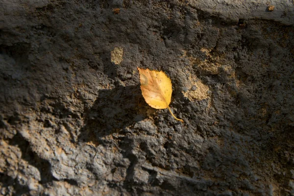 Zand Textuur Muur Gedeeltelijk Bedekt Met Grijze Verf Met Een — Stockfoto